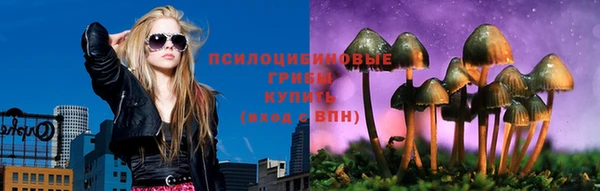 прущий лед Алексеевка