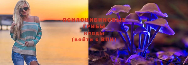 прущий лед Алексеевка