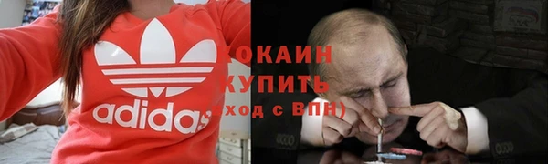 apvp Алексин